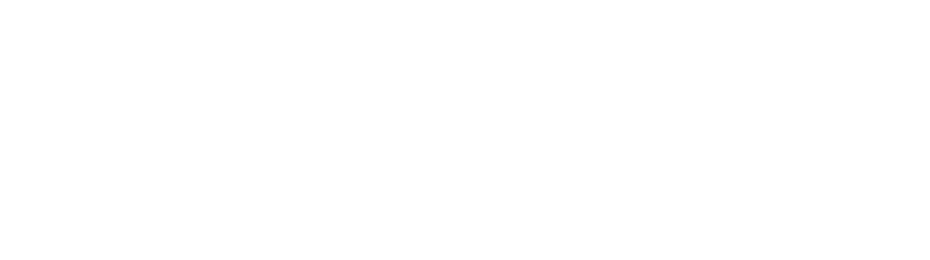 2024_AI_Logo_weiss